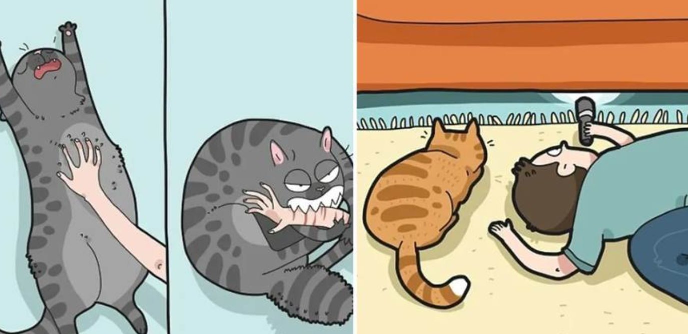 Here's a fun collection of pictures that perfectly capture life after adopting a cat!