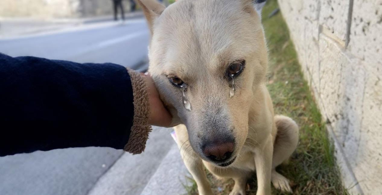Abandoned and Overlooked, But He Never Gave Up Hope